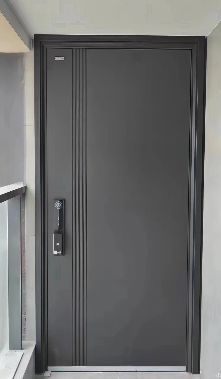 Универсальная защитная стальная дверь, успокаивающий барьер между домом и деловым пространством